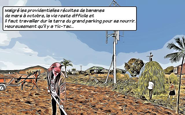 Case-21---culture-et-eeolienne-texted