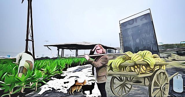 banana-gas-station-tooned