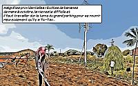 Case-21---culture-et-eeolienne-texted